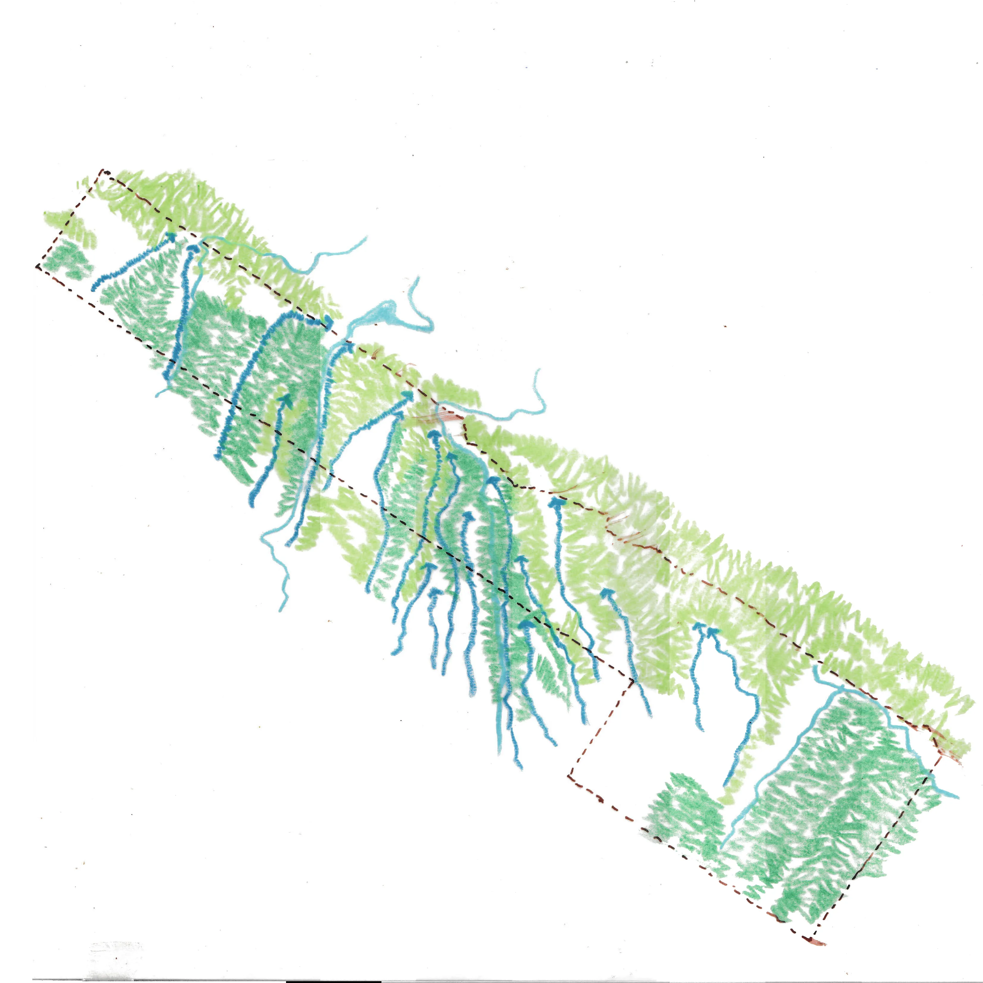 Variation - Thiết kế kiến trúc đa dạng